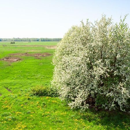 White Camomile Condo Швентой Экстерьер фото